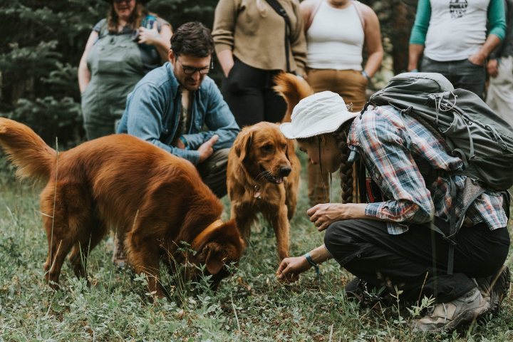 3 Excursión en busca de trufas con Heather Dawson, Rye y Pyro. Foto - Telluride Mushroom Festival