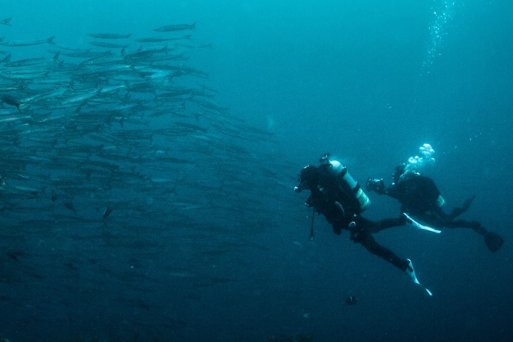 3. Buzos en los Galápagos. Foto - @galapagosskyliveaboard (Instagram)