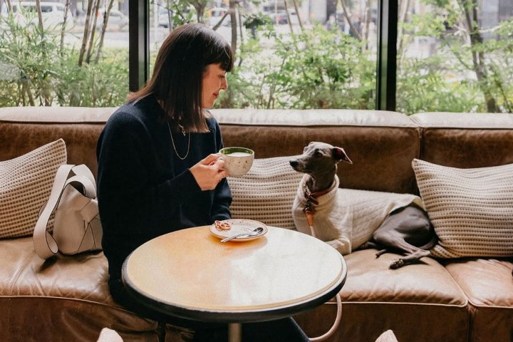 3. Huésped con mascota en hotel Kimpton. Foto - Kimpton Hotels & Restaurants (Facebook)