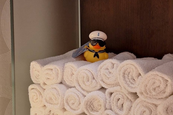 3. Pato de hule escondido sobre toallas de baño. Foto - Roy Janssen (Facebook)