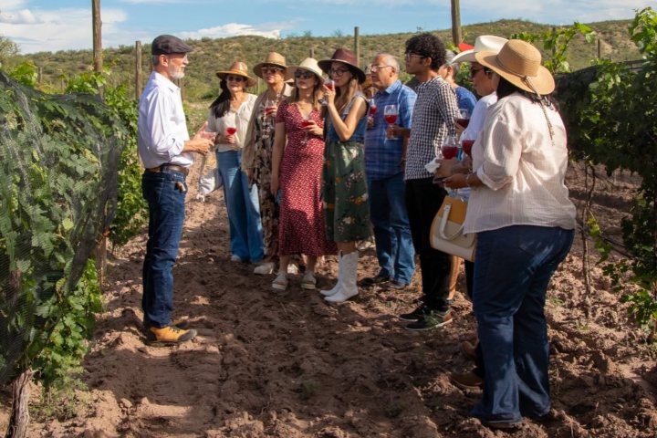 3. Recorrido por Viñedo Los Portales. Foto - Viñedo Los Portales (Facebook)