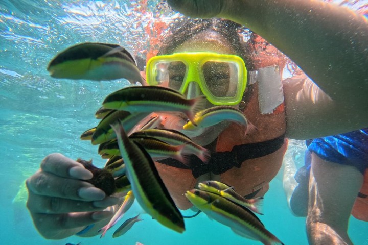 3. Snorkel en playa Las Gatas. Foto - @micaelava15 (Instagram)