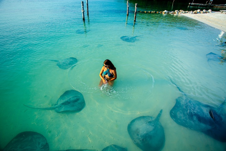 Caye Caulker. Foto - Archivo Belize