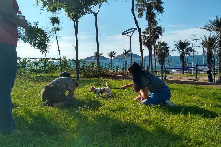 4. Perro en el Parque Ciudades Hermanas. Foto - Parque Ciudades Hermanas (Facebook)
