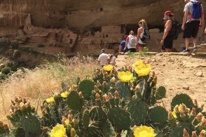 4. Senderismo por Mesa Verde. Foto - Mesa Verde National Park (Facebook)