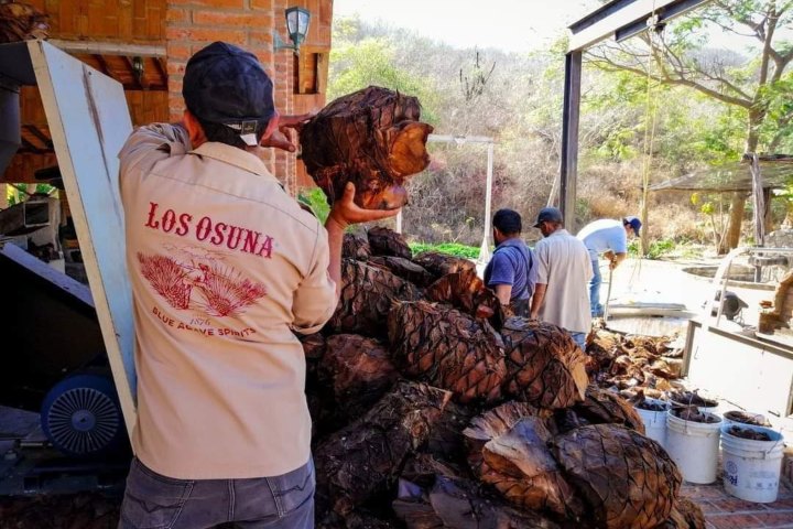 5. Destilería Los Osuna en La Noria. Foto - La Noria Mi Pueblo Querido (Facebook)