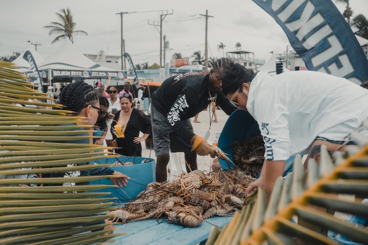 5. Langostas durante el Festival de la Langosta. Foto - Caye Caulker Lobster Fest (Facebook)