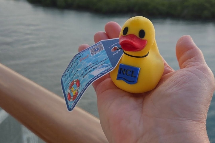 5. Pato con etiqueta. Foto - Angie Sladowski (Facebook)