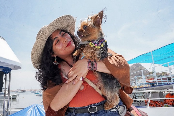 5. Perrito en Catamarán Playa Sur. Foto - Catamarán Playa Sur (Facebook)