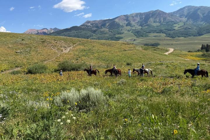 5. Snodgrass Horse Loop. Foto - Len Gehring (AllTrails)