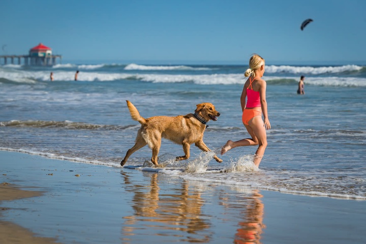 5. Viajera con su perro en la playa. Foto - Visit Huntington Beach