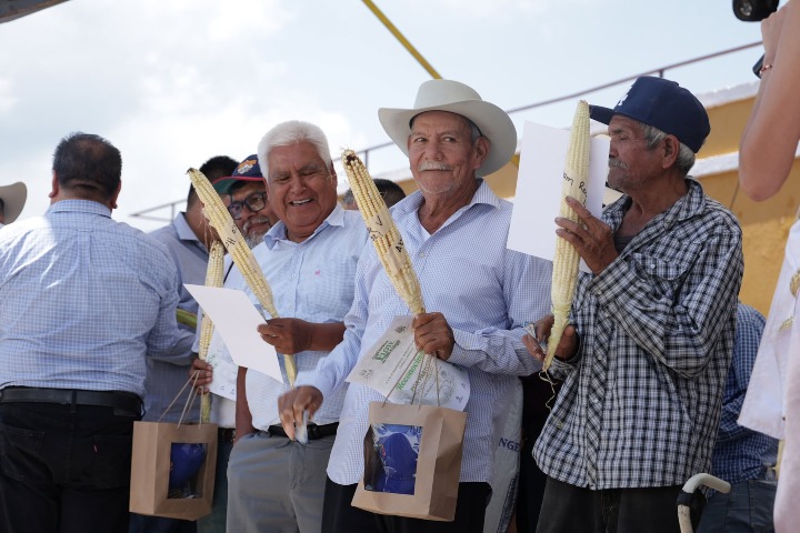 6. Concurso del Elote Más Grande del Mundo. Foto - Gobierno Municipal de Jala (Facebook)