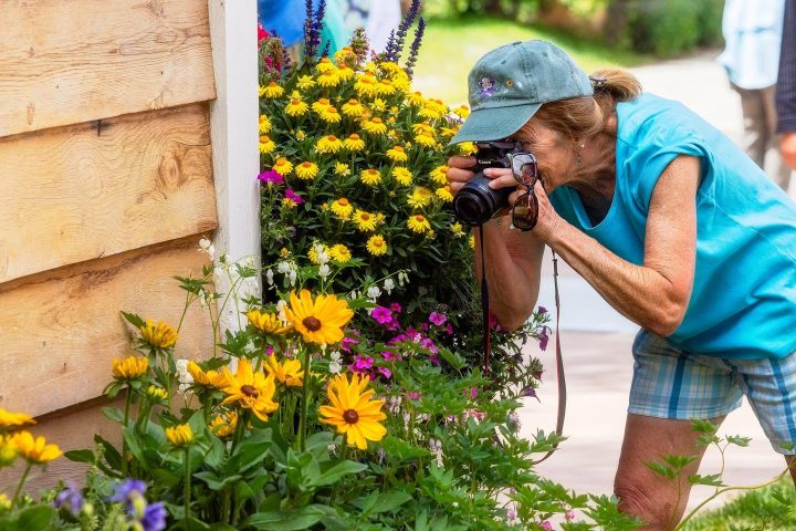6. Fotografía de flores durante el Crested Butte Wildflower Festival. Foto - Crested Butte Wildflower Festival (Facebook)