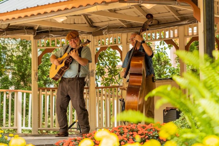 6. Músicos en Dollywood. Foto - Dollywood (Facebook)