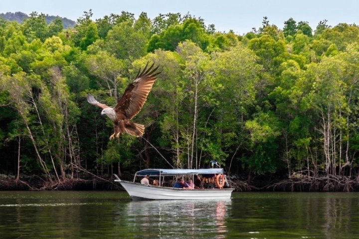 6. Tour en bote por Langkawi. Foto - palasaadventure