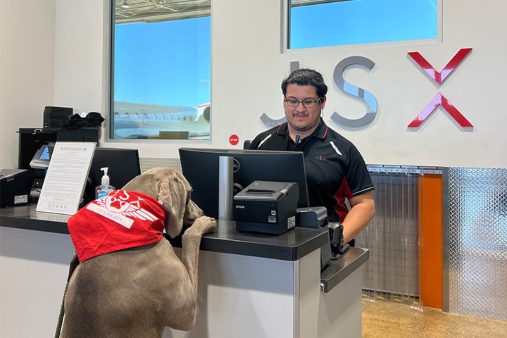 7. Perro en JSX. Foto - @flyjsx (Instagram)