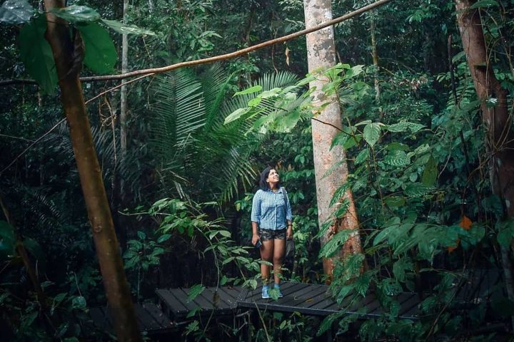 7. Viajera en Parque Nacional Taman Negara. Foto - @taman.negara (Instagram)