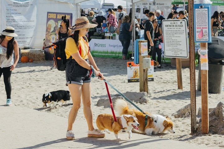 9. Mascotas en Huntington Beach. Foto - Visit Huntington Beach (Facebook)