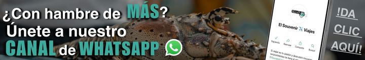 BANNERS PARA CANAL DE WHATSAPP - FESTIVAL DE LA LANGOSTA 2026