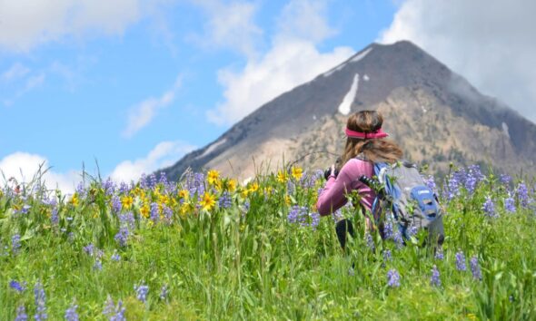 CRESTED BUTTE, LA CAPITAL DE LAS FLORES SILVESTRES EN COLORADO. Foto - crestedbuttewildflowerfest