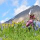 CRESTED BUTTE, LA CAPITAL DE LAS FLORES SILVESTRES EN COLORADO. Foto - crestedbuttewildflowerfest
