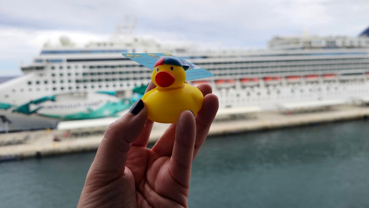 CRUISE DUCKS, LA TRADICIÓN DE ESCONDER PATOS EN CRUCEROS. Foto - The Character Bounder - Thecb.co (Facebook)