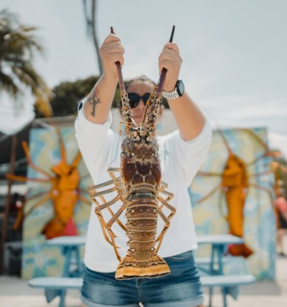 FESTIVAL DE LA LANGUSTA 2026 EN CAYO CORKER. Foto - Caye Caulker Lobster Fest (Facebook)