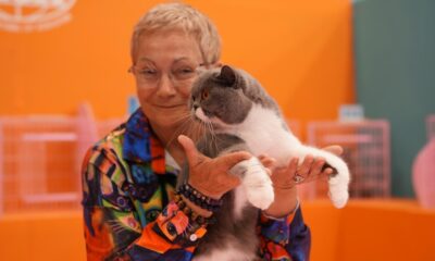 MIAU & PETS EXPO MASCOTAS MÉXICO 2026 QUERÉTARO. Foto - @expomascotasmexico (Instagram)