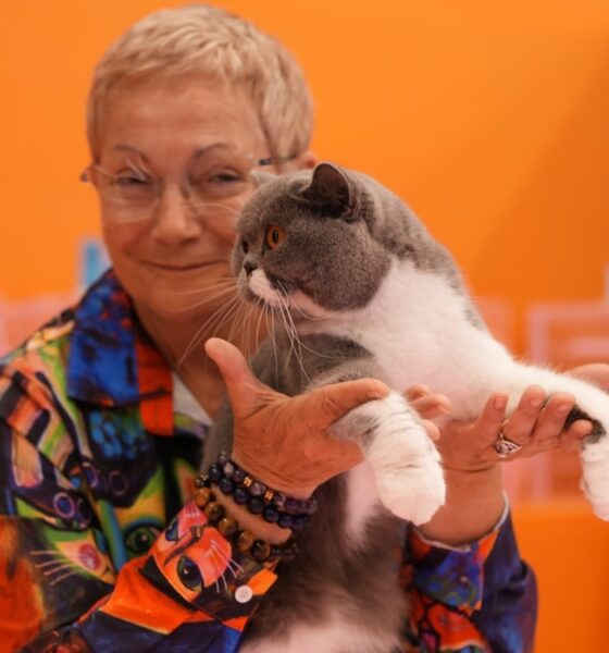 MIAU & PETS EXPO MASCOTAS MÉXICO 2026 QUERÉTARO. Foto - @expomascotasmexico (Instagram)