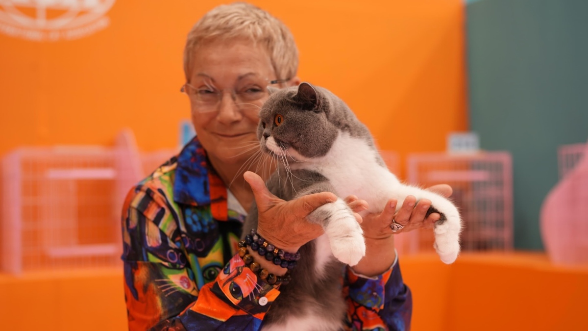 MIAU & PETS EXPO MASCOTAS MÉXICO 2026 QUERÉTARO. Foto - @expomascotasmexico (Instagram)