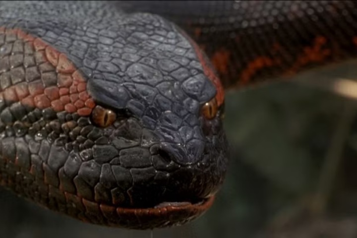 1. Anaconda (1997) de Sony Pictures. Foto - screenrant