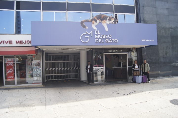 1. Entrada del Museo del Gato. Foto - Gus Espinosa