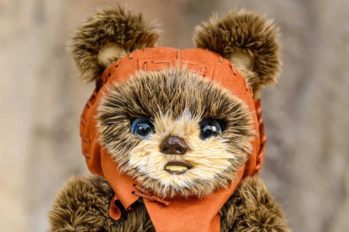 1. Nuevo Ewok de la colección Batuu Adventure Buddies. Foto - Archivo Disney