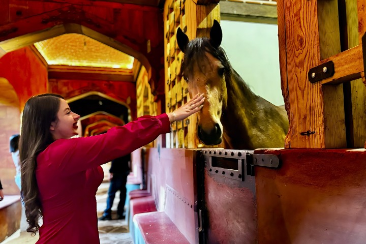 2. Caballo en el Castillo Barakah. Foto - @sharlotte_gg (Instagram)