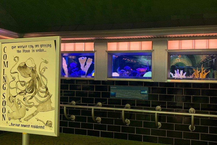 2. Estanques en el Belle Isle Aquarium. Foto - @erinweise93_ (Instagram)