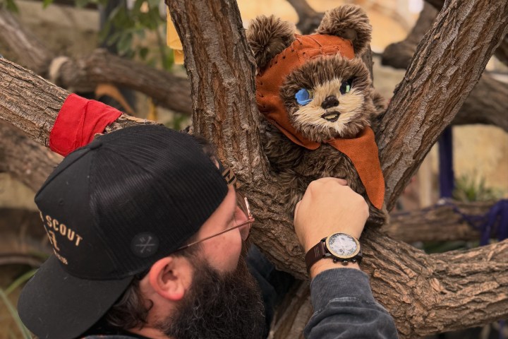 2. Nuevo Ewok de la colección Batuu Adventure Buddies. Foto - @bibbidi.bobbidi.beard (Instagram)