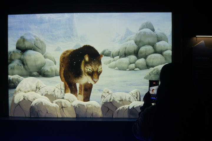 2. Video mapping del origen de los gatos. Foto - Gus Espinosa