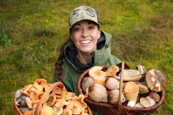 3. Recolectora de hongos. Foto - Magazín