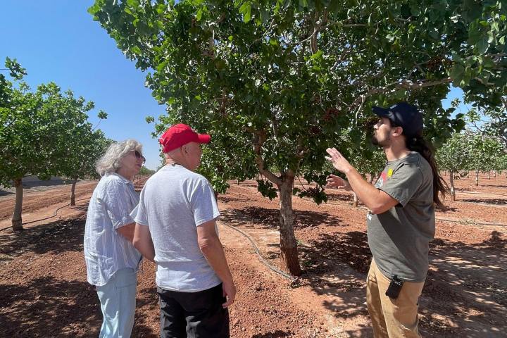 5. Explicación en el campo de pistaches de PistachioLand. Foto - Sharon R (Tripadvisor)
