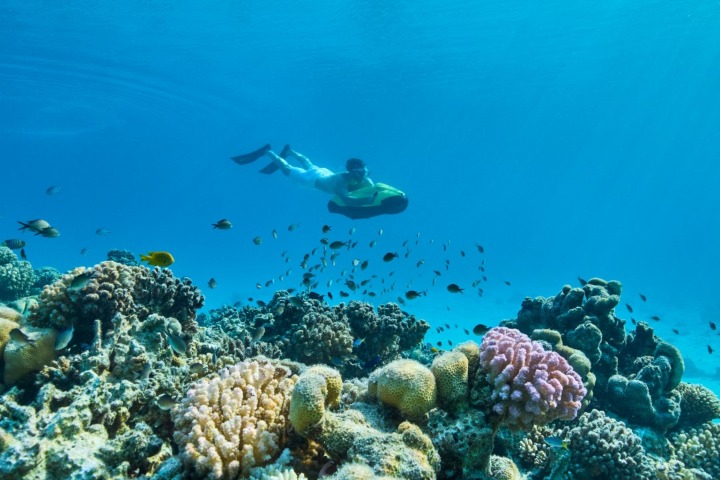 5. Snorkel en Shebara. Foto - @shebara (Instagram)