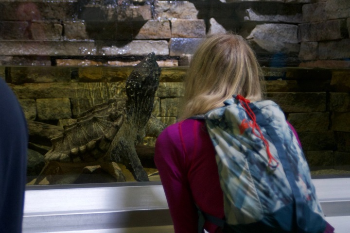 6. Belle Isle Aquarium. Foto - @belleisleaquarium (Instagram)