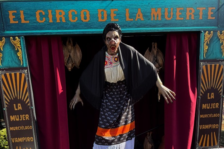 6. La Mujer Murciélago en El Circo de la Muerte. Foto - @itschristianeverywhere (Instagram)