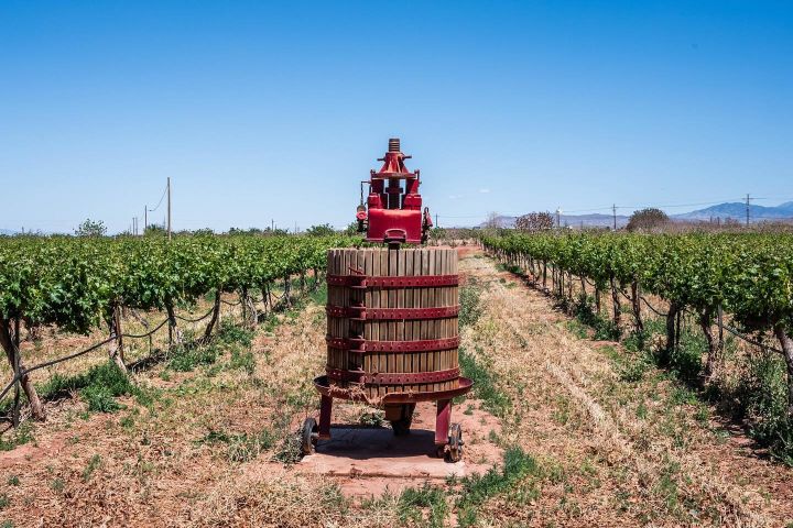 6. Máquina en el campo de PistachioLand. Foto - @estefanphotography (Instagram)