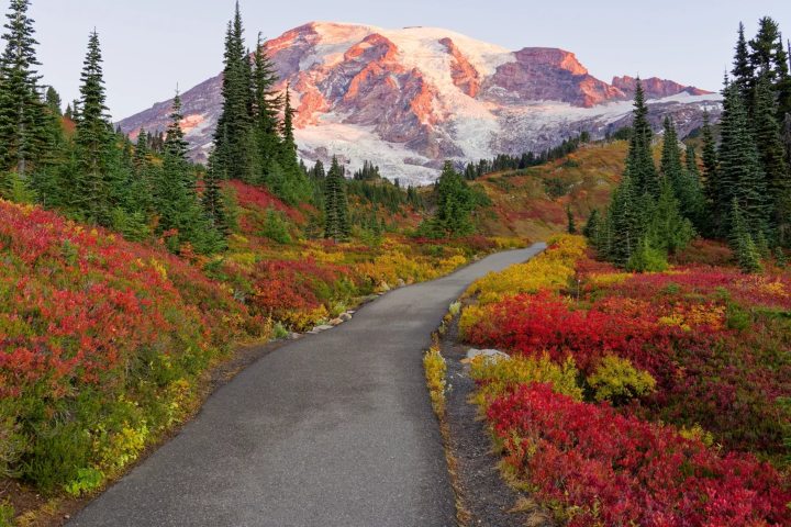 7. Mount Rainier National Park durante el otoño. Foto - u_indieaz (Reddit)