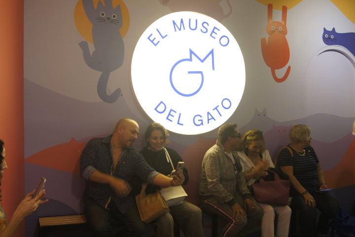 8. Entrada al Museo del Gato. Foto - Gus Espinosa