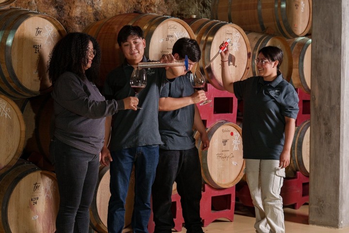 9. Degustación de vino. Foto - @bodegasfrubio (Instagram)