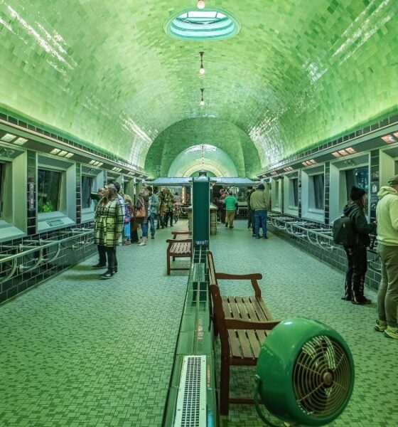 BELLE ISLE AQUARIUM. Foto - Brandon Parsons (Facebook)