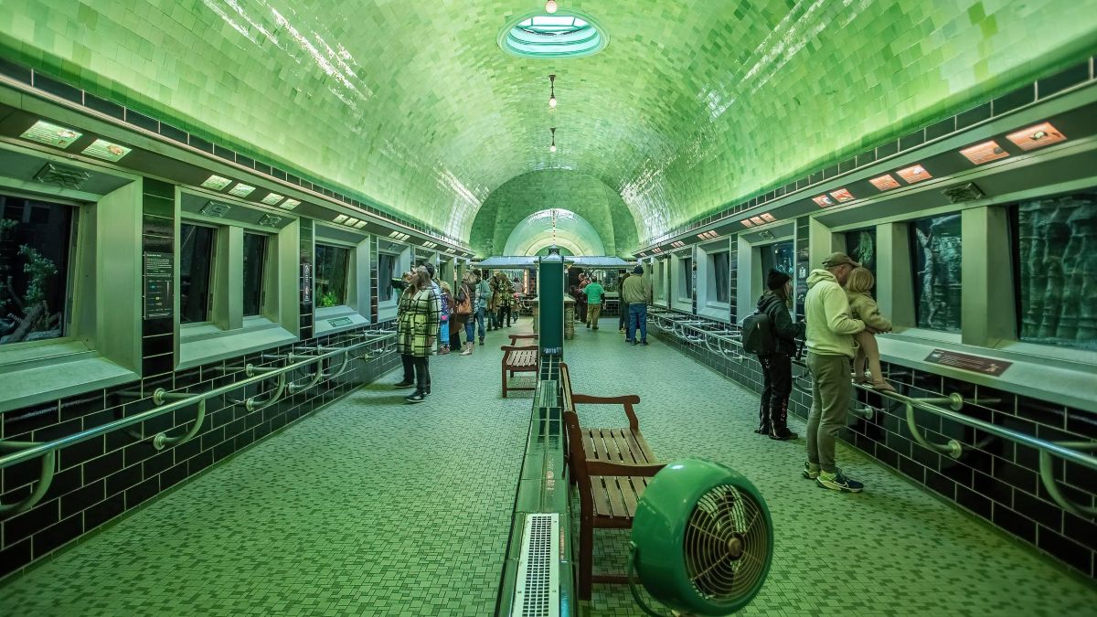 BELLE ISLE AQUARIUM. Foto - Brandon Parsons (Facebook)