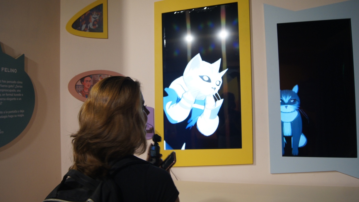 EL MUSEO DEL GATO EN LA CDMX. Foto - Gus Espinosa