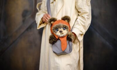 EWOK INTERACTIVO LLEGA A DISNEY. Foto - Archivo Disney